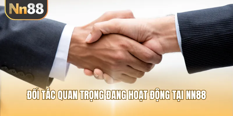 Đối tác quan trọng đang hoạt động tại NN88